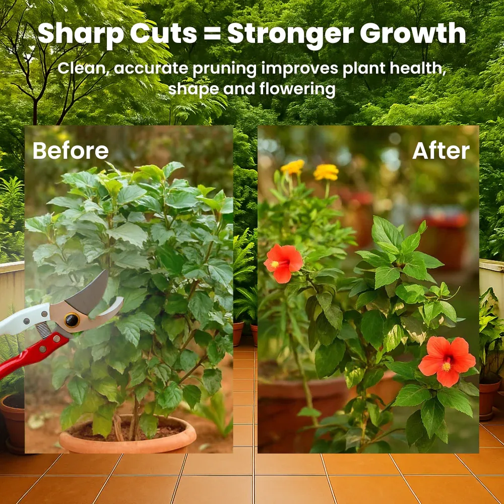 Assorted Hand Pruner Cutter - 1 Pc (Steel Blades) | Heavy Duty Gardening Cutter Tool | Plant Cutter for Home Garden, Wood Branch Trimmer, Sturdy Stem Scissors, Grass Cutting Accessory - Image 6