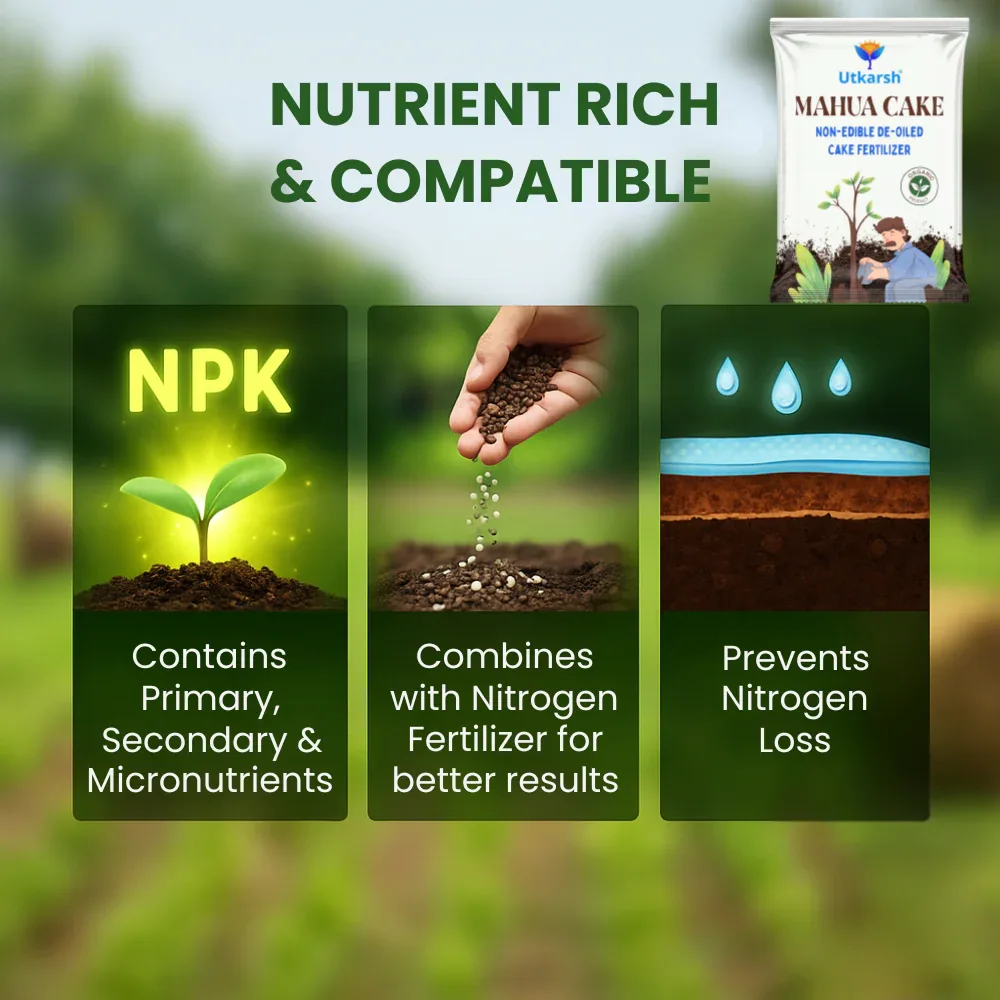 Mahua Oil Cake Fertilizer for Plants | Organic Compost, Mahua Khali for Home Garden, Manure for Flowers, Vegetables & Lawn - Image 3