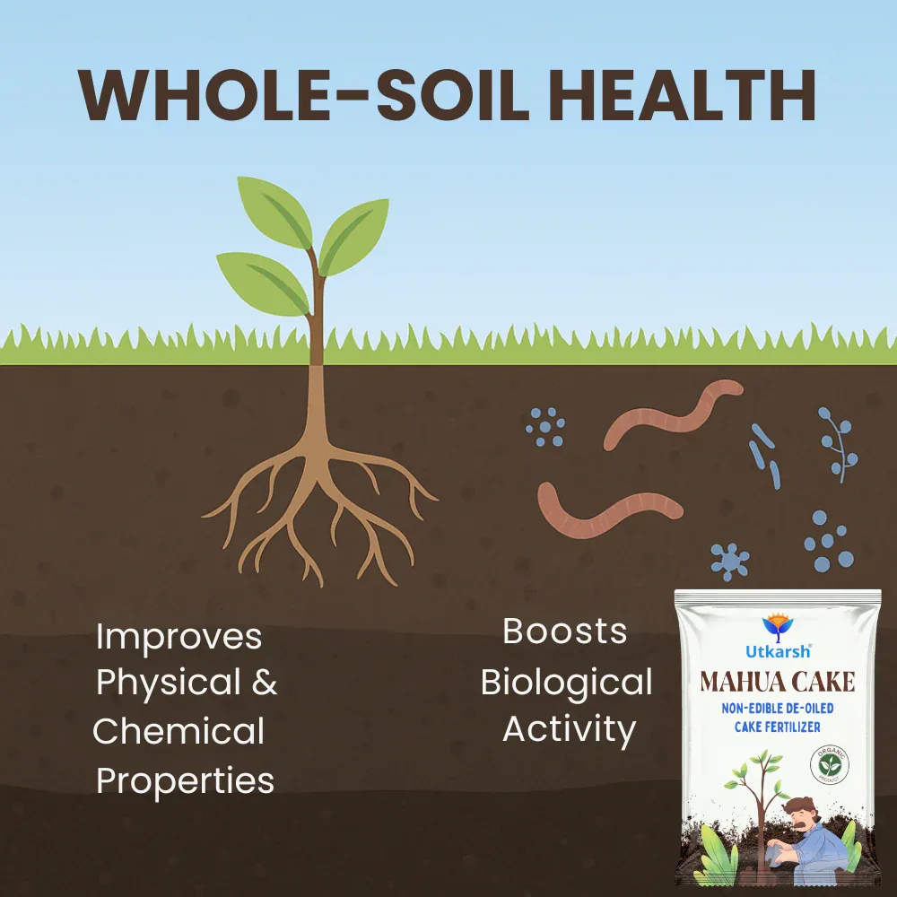 Mahua Oil Cake Fertilizer for Plants | Organic Compost, Mahua Khali for Home Garden, Manure for Flowers, Vegetables & Lawn - Image 4