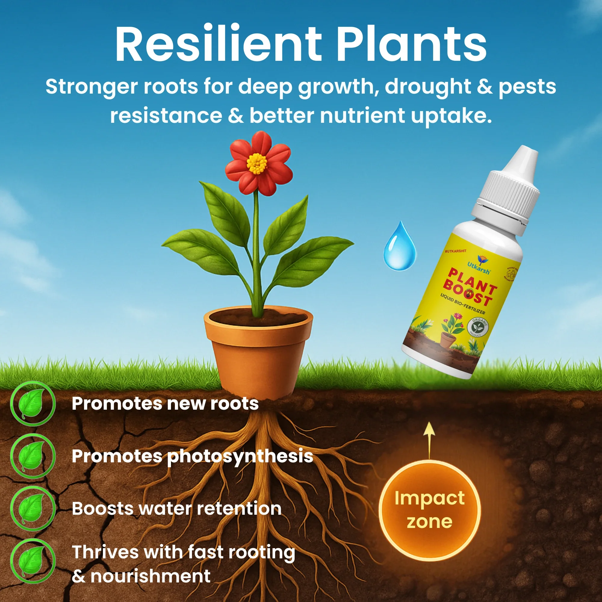 Plant Boost - Liquid Bio Fertilizer, Organic Growth Booster for Faster, Healthier Home Garden Plants, Ideal for Vegetables, Flowers, Herbs & Promotes Healthy Roots (Pack of 3 of 50 ml) - Image 3