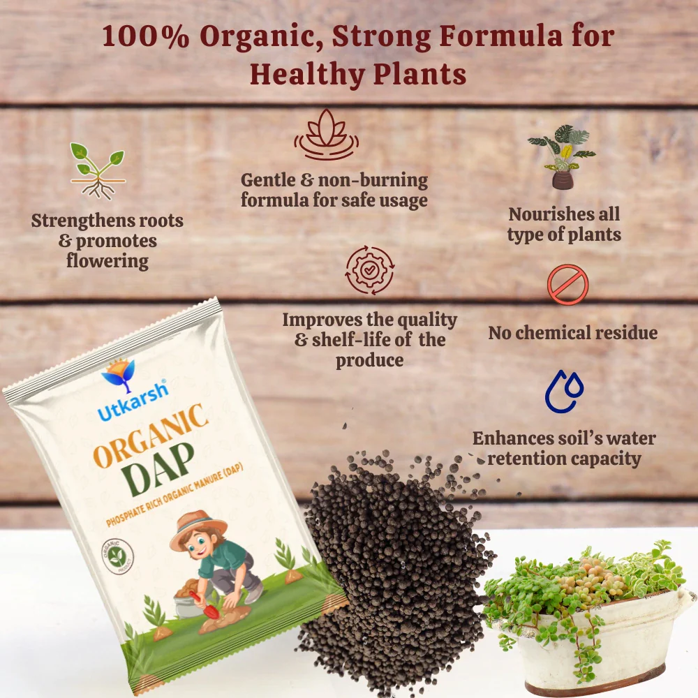 Organic DAP Fertilizer for Plants, Home & Garden - 100% Water Soluble Granules, Bio DAP Fertilizers & Manure for Plants Growth | Improves Flowering, Fruiting & Vegetables - Image 4
