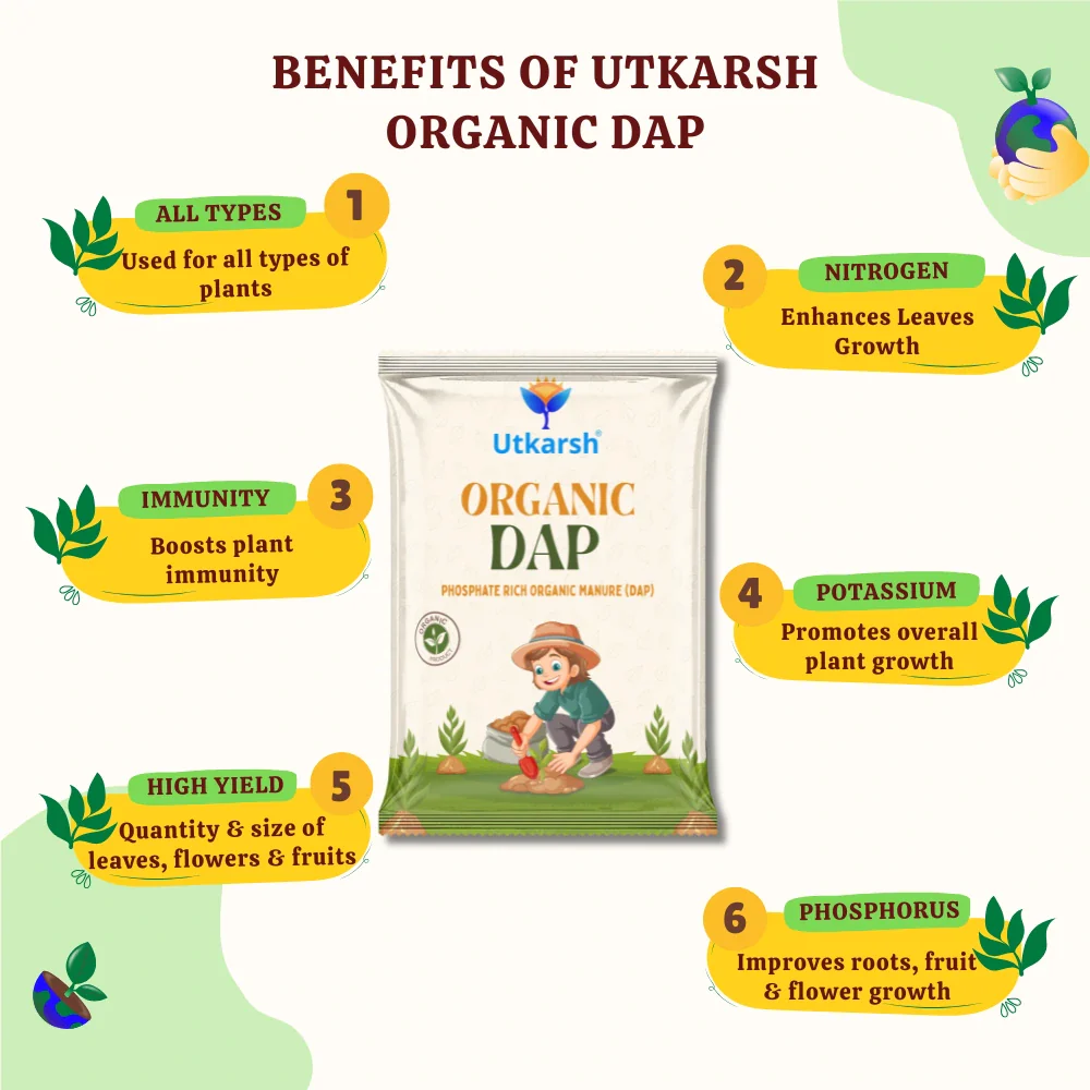 Organic DAP Fertilizer for Plants, Home & Garden - 100% Water Soluble Granules, Bio DAP Fertilizers & Manure for Plants Growth | Improves Flowering, Fruiting & Vegetables - Image 5