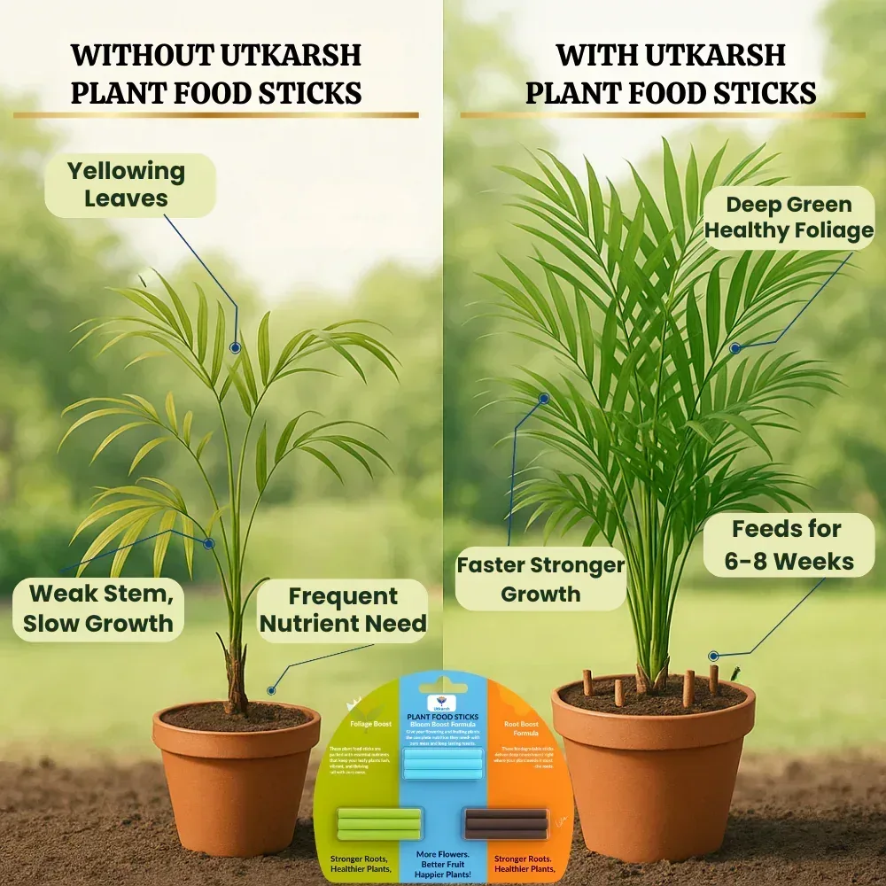 Plant Food Foliage Sticks for Green Leaves - Pack of 15 Sticks | Natural & Organic Nutrition for All Indoor & Outdoor Home Garden Plants | Multi-Purpose Natural Plant Growth Booster - Image 5