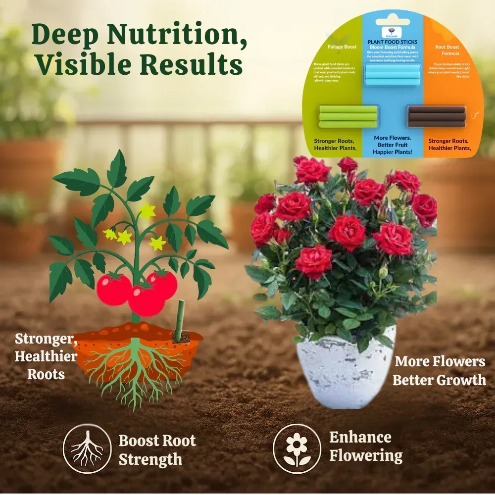 Plant Food Foliage Sticks for Green Leaves - Pack of 15 Sticks | Natural & Organic Nutrition for All Indoor & Outdoor Home Garden Plants | Multi-Purpose Natural Plant Growth Booster - Image 6