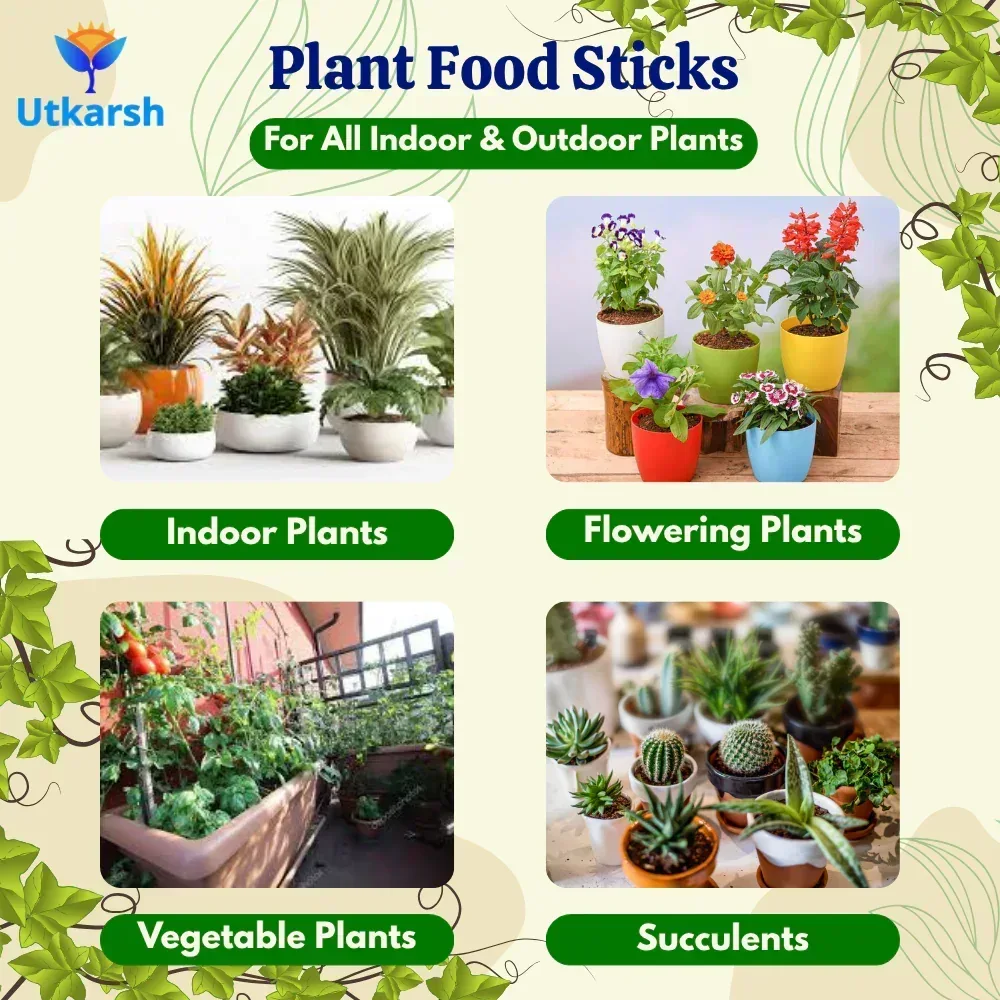 Plant Food Foliage Sticks for Green Leaves - Pack of 15 Sticks | Natural & Organic Nutrition for All Indoor & Outdoor Home Garden Plants | Multi-Purpose Natural Plant Growth Booster - Image 7