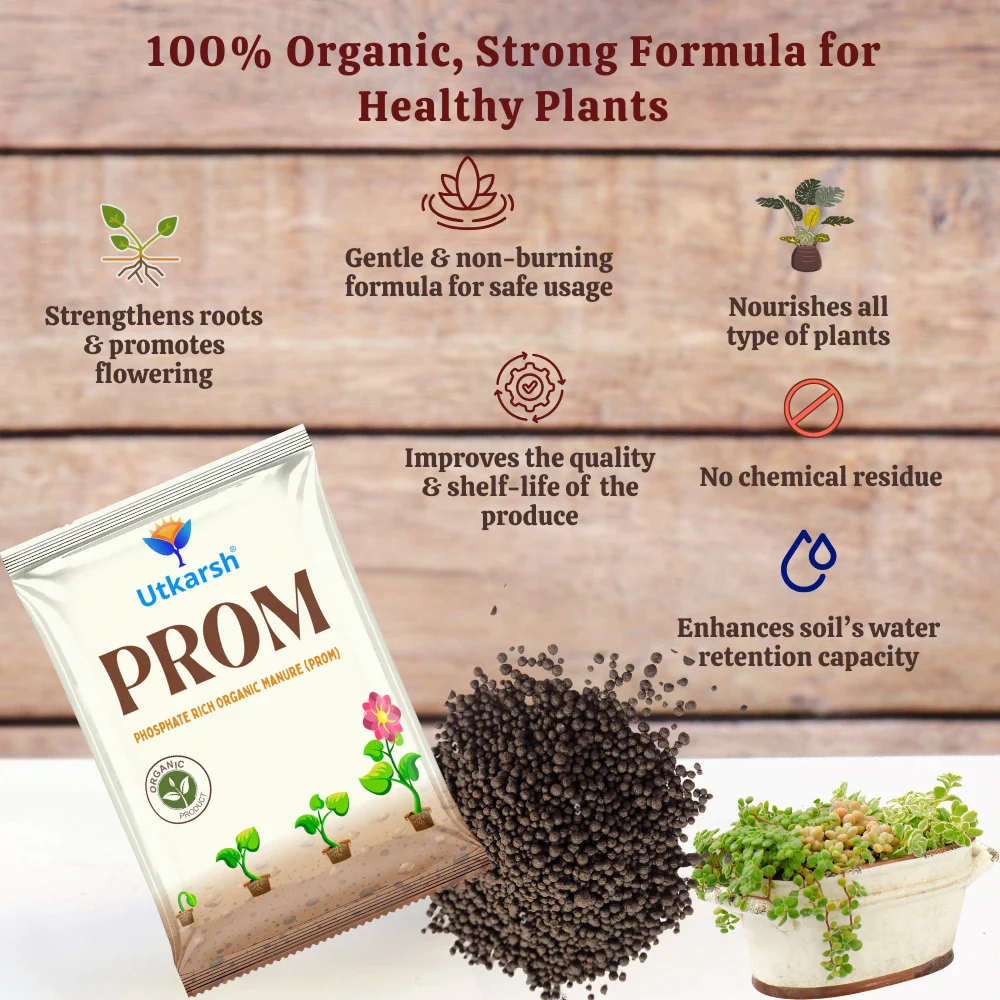 PROM - Phosphate Rich Organic Manure for Plants, Home Garden, 100% Water Soluble Granules, Fertilizers for Plants Growth, Bio DAP to Improve Flowering, Fruiting & Vegetables - Image 4