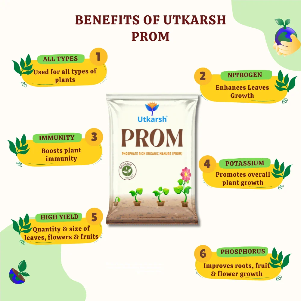 PROM - Phosphate Rich Organic Manure for Plants, Home Garden, 100% Water Soluble Granules, Fertilizers for Plants Growth, Bio DAP to Improve Flowering, Fruiting & Vegetables - Image 5