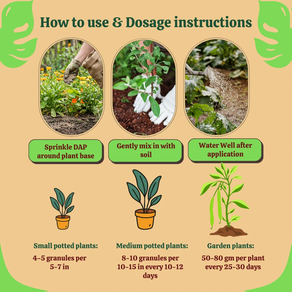 PROM - Phosphate Rich Organic Manure for Plants, Home Garden, 100% Water Soluble Granules, Fertilizers for Plants Growth, Bio DAP to Improve Flowering, Fruiting & Vegetables - Image 6