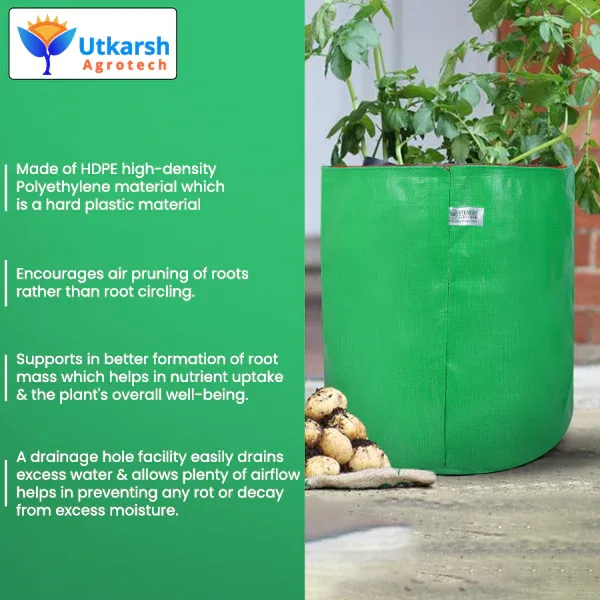 200 GSM Green HDPE Grow Bags- 15 X 15 Inch - Image 3