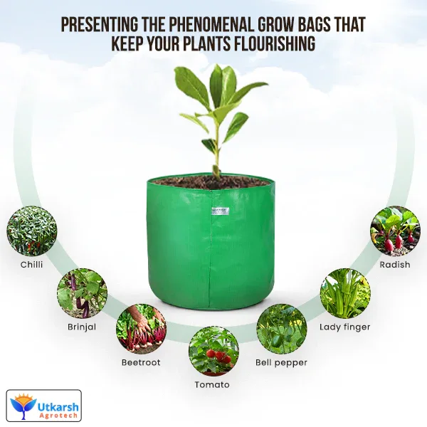 200 GSM Green HDPE Grow Bags- 15 X 15 Inch - Image 4
