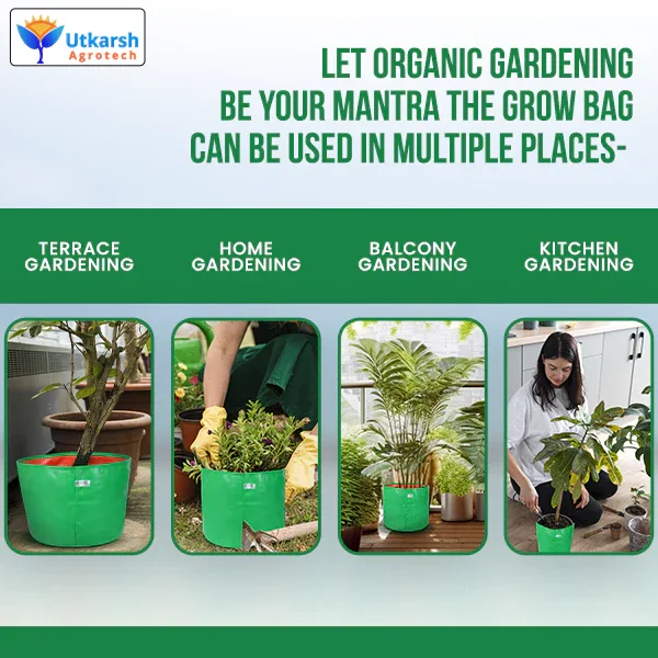 200 GSM Green HDPE Grow Bags- 15 X 15 Inch - Image 5