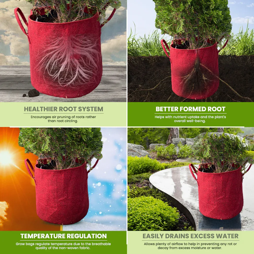 400 GSM Geotextile Fabric Growbags- Maroon, Pack of 3 - Image 6