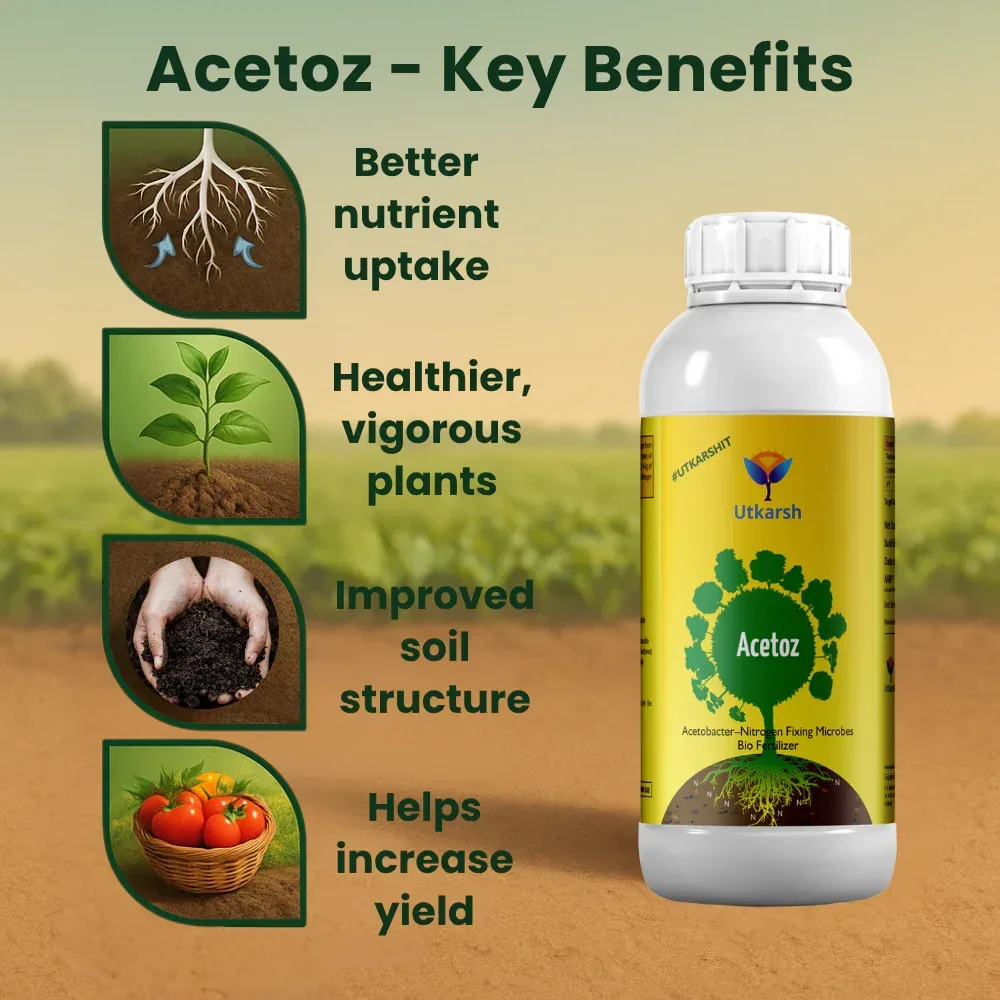 Acetobacter - Nitrogen Fixing Microbes, Liquid Bio Fertilizer for Plants Growth, Enhances Soil Structure & Fertility, Yields & Nutrient Uptake | Acetoz - Image 3