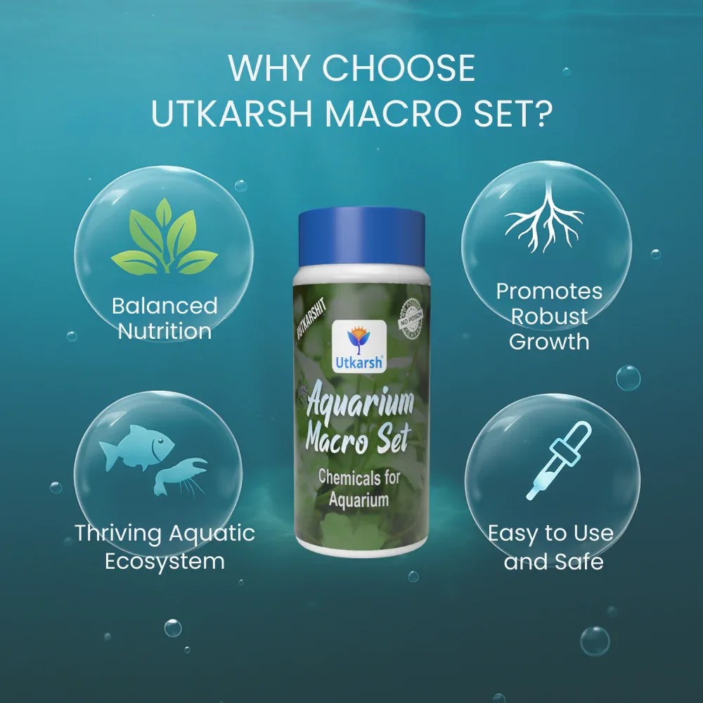 Aquarium Macro Set (Combination of Various Chemicals for Aquarium Plants) | Provides Complete Macronutrient Solution for Healthy Aquarium Plants, Easy to Use and Safe - Image 3