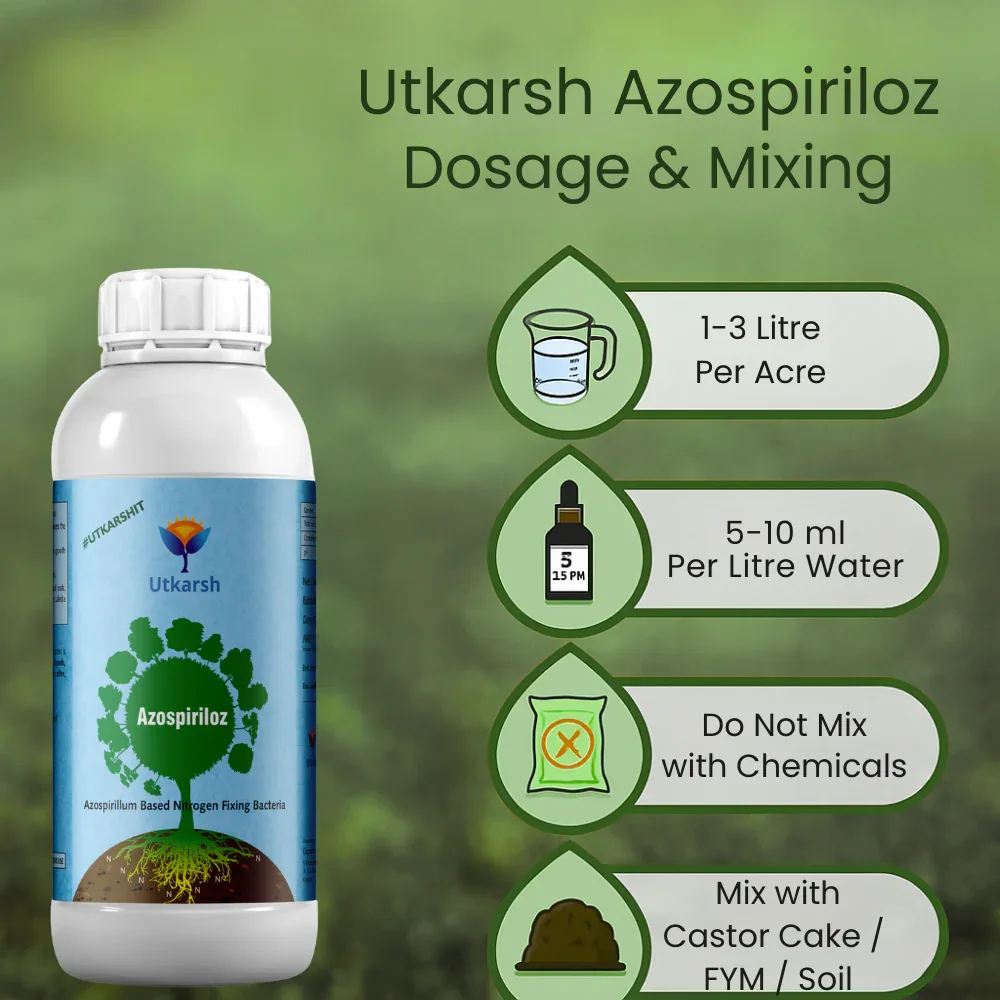 Azospirillum - Nitrogen Fixing Microbes, Liquid Bio Fertilizer for Plants Growth, Healthy Roots, Protect Plants from Biotic & Abiotic Stresses | Azospiriloz - Image 4