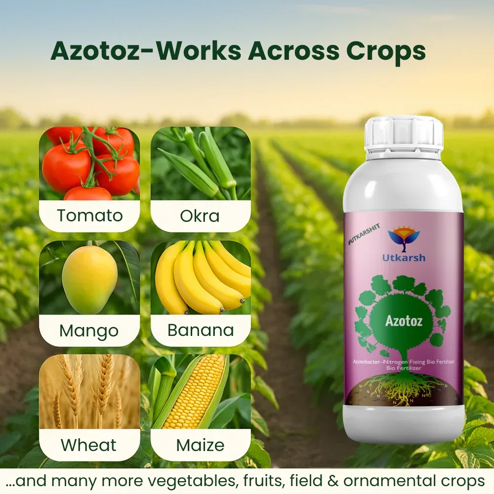 Azotobacter - Nitrogen Fixing Microbes, Liquid Bio Fertilizer for Plants Growth, Increases Soil Structure & Fertility, Yields & Nutrient uptake | Azotoz - Image 7