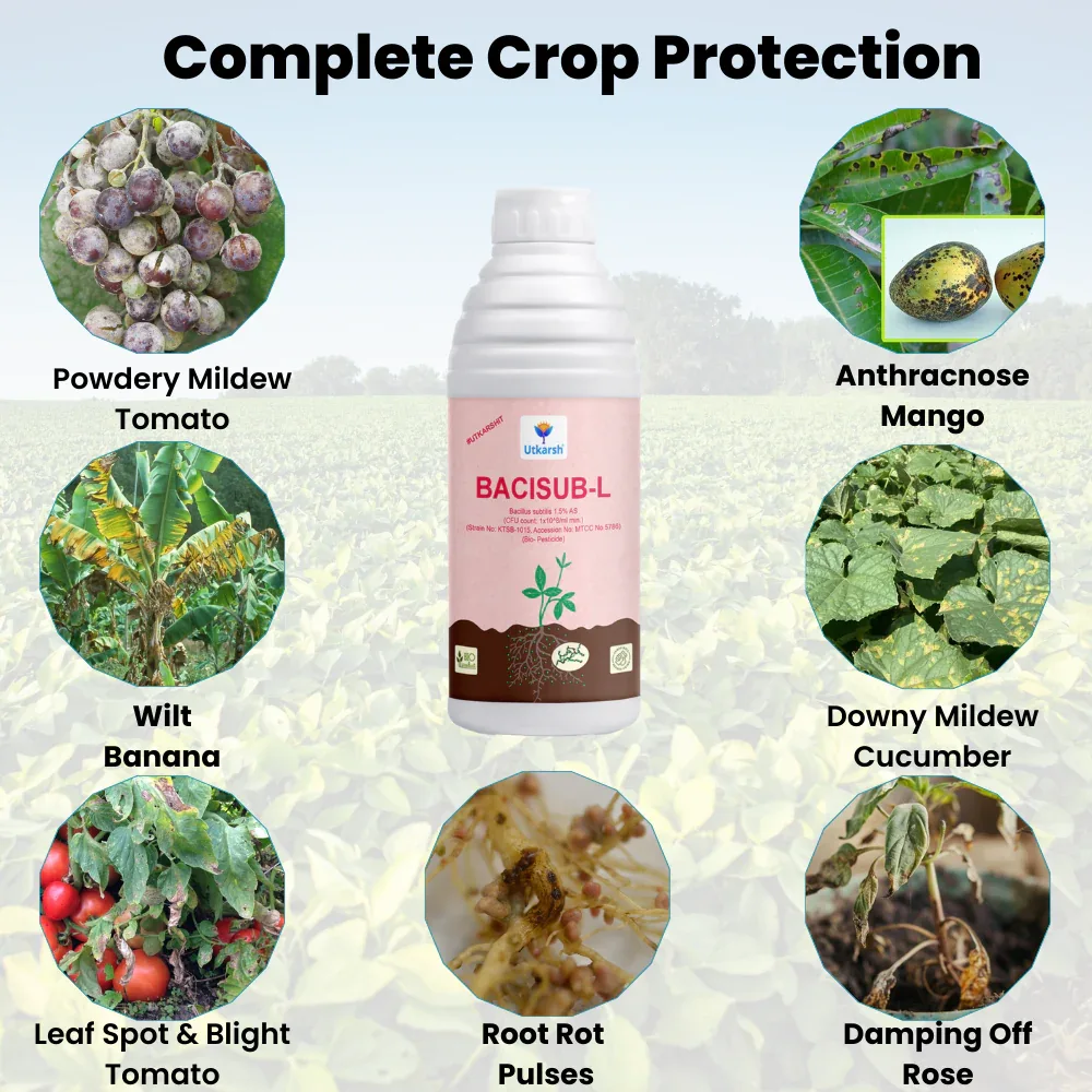 Bacillus Subtilis - Liquid Biofungicide for Plants | Beneficial Microbes for Root Zone & Soil | Helps Protect from Fungal Diseases | For Home Garden, Terrace & Farms | BaciSub-L - Image 3