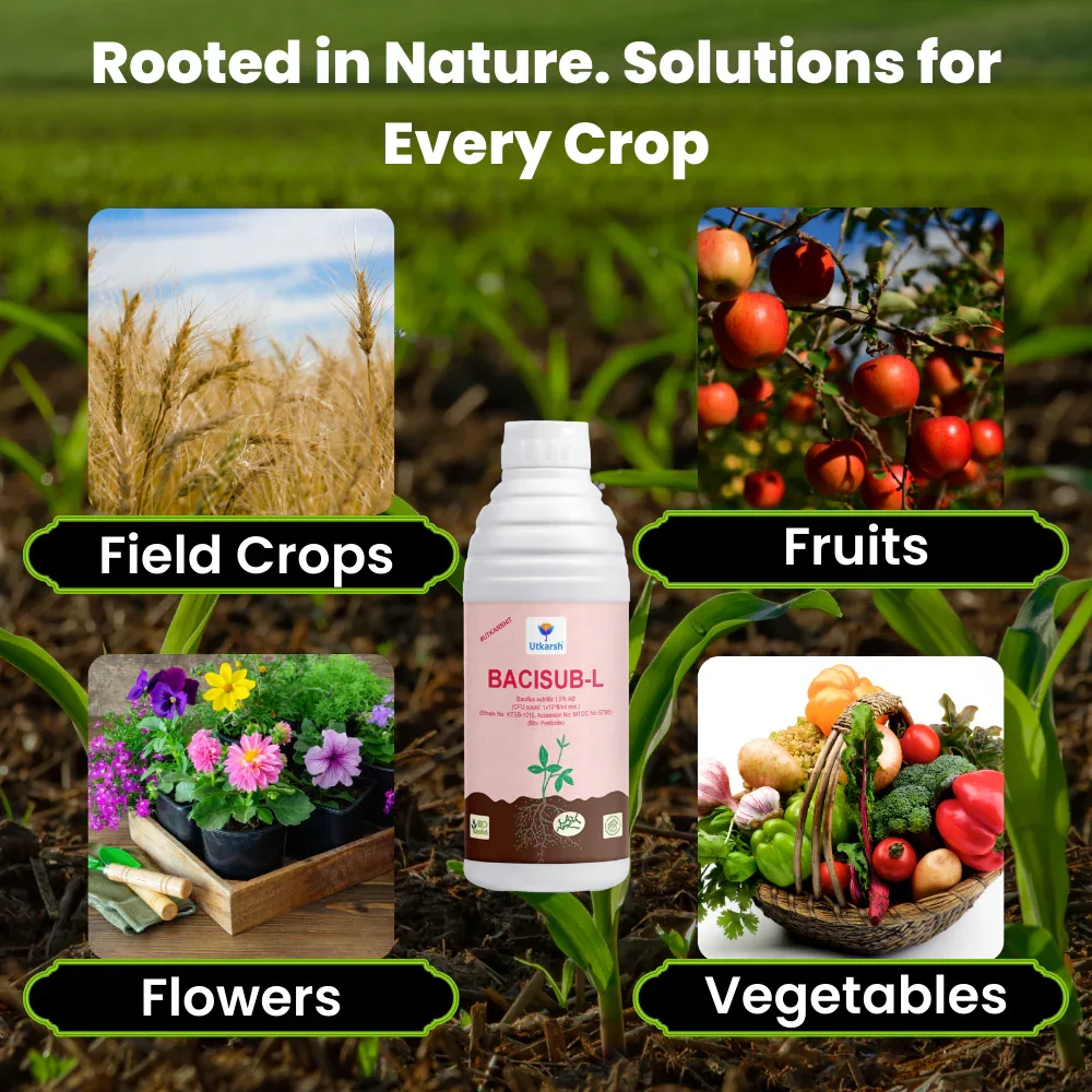 Bacillus Subtilis - Liquid Biofungicide for Plants | Beneficial Microbes for Root Zone & Soil | Helps Protect from Fungal Diseases | For Home Garden, Terrace & Farms | BaciSub-L - Image 4