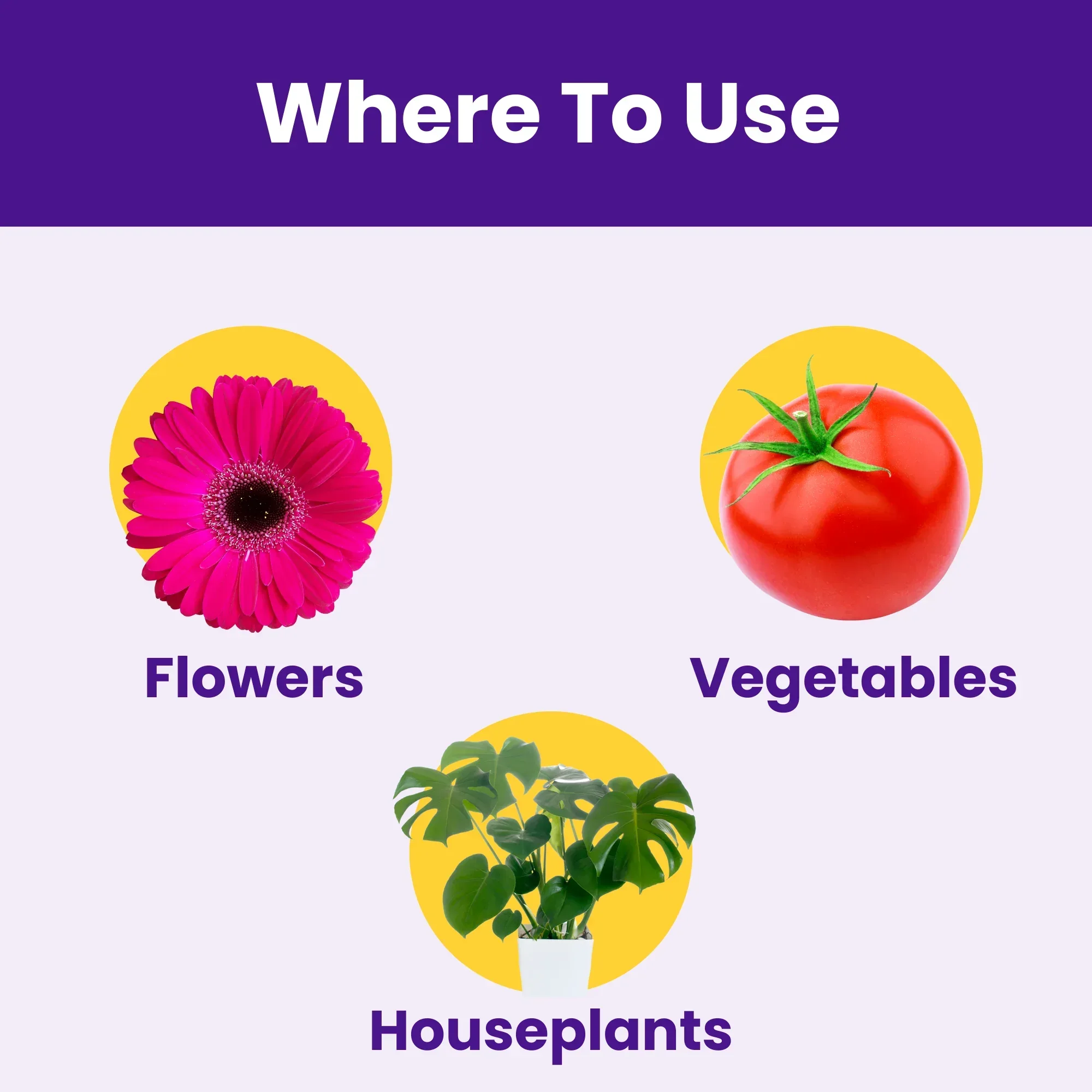 Boron 20% Micronutrient Fertilizer for Plants – Boosts Vegetable, Fruit & Flower Growth | 100% Water Soluble Boron EDTA Chelated Powder for Healthy Garden Plants | (Disodium Octaborate Tetrahydrate) BeShape - Image 7