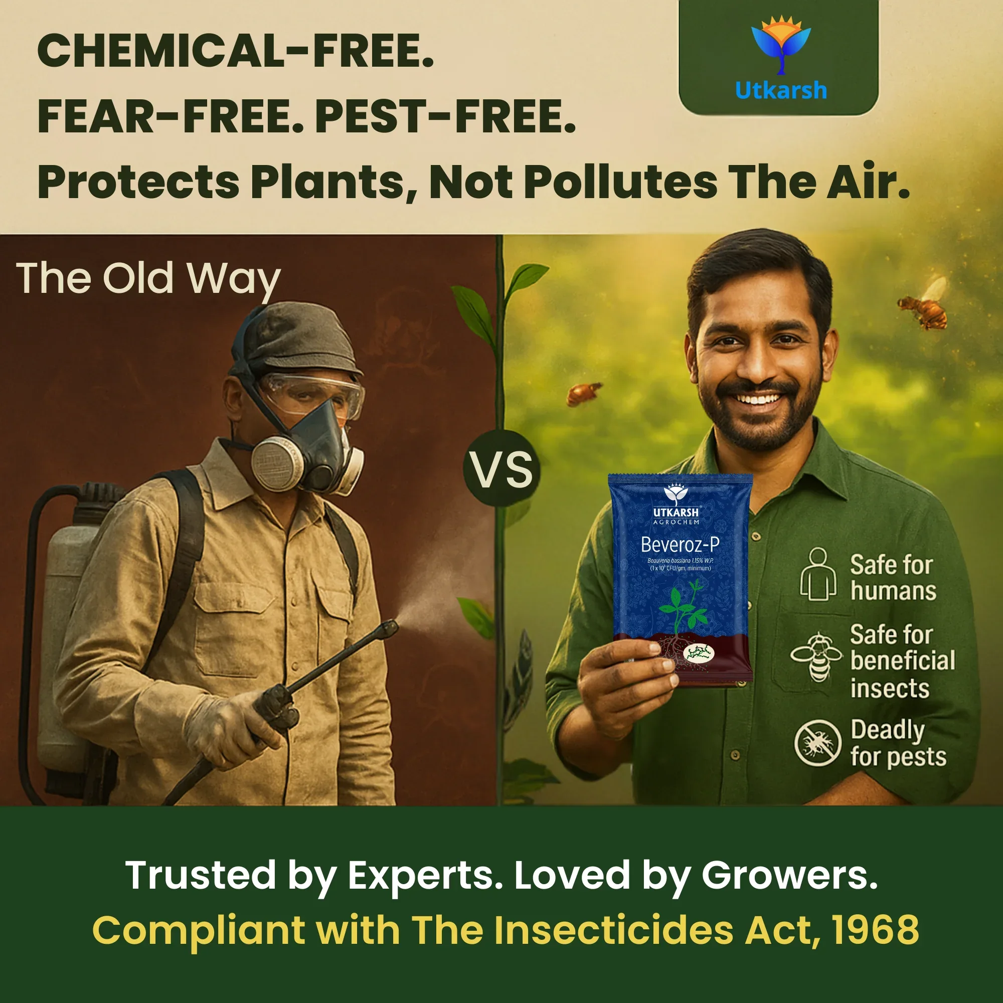 Beauveria Bassiana 1.15% W.P. 1 x 10^8 CFU/gm min. Bio Insecticides for Plants, Crops and Home Gardening - Beveroz-P - Image 3