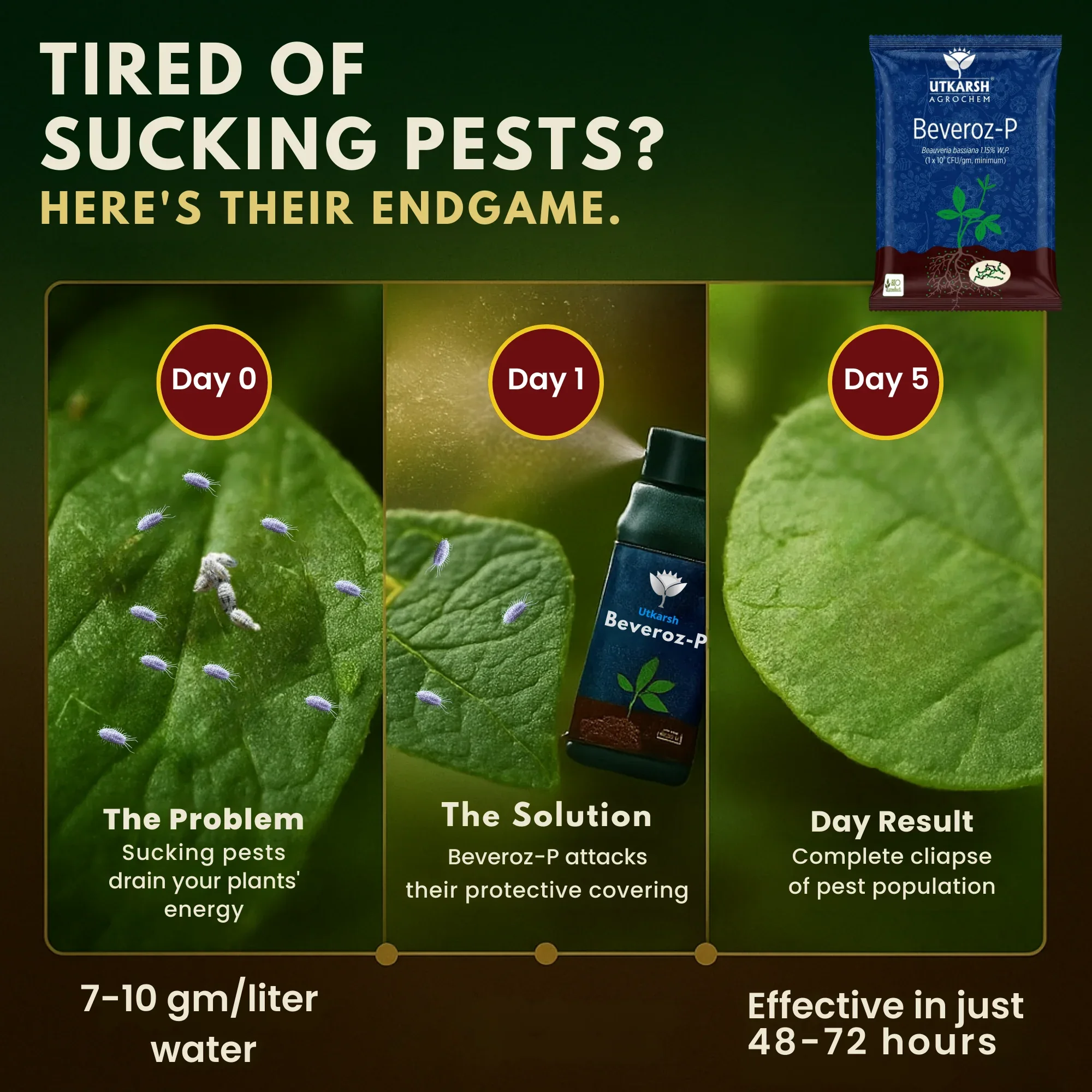 Beauveria Bassiana 1.15% W.P. 1 x 10^8 CFU/gm min. Bio Insecticides for Plants, Crops and Home Gardening - Beveroz-P - Image 4