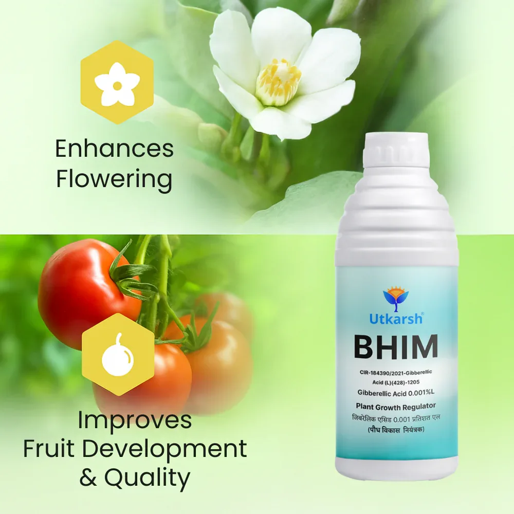 Bhim (Gibberellic Acid 0.001% L) | Plant Growth Regulator - Image 4