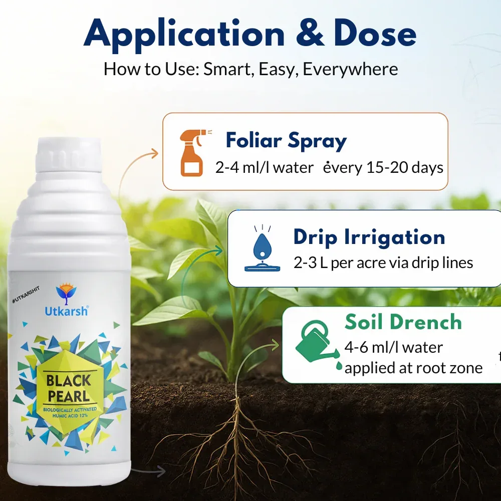Black Pearl - L (Biologically Activated Liquid Humic Acid 12% & 3% Fulvic Acid), Promotes Plants Growth, Stronger Roots, Improves Flowering & Fruiting, Biostimulant - 20 Liter - Image 4