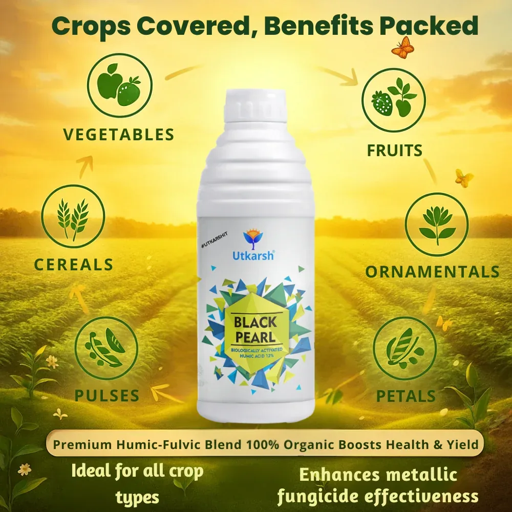 Black Pearl - L (Biologically Activated Liquid Humic Acid 12% & 3% Fulvic Acid), Promotes Plants Growth, Stronger Roots, Improves Flowering & Fruiting, Biostimulant - 20 Liter - Image 5