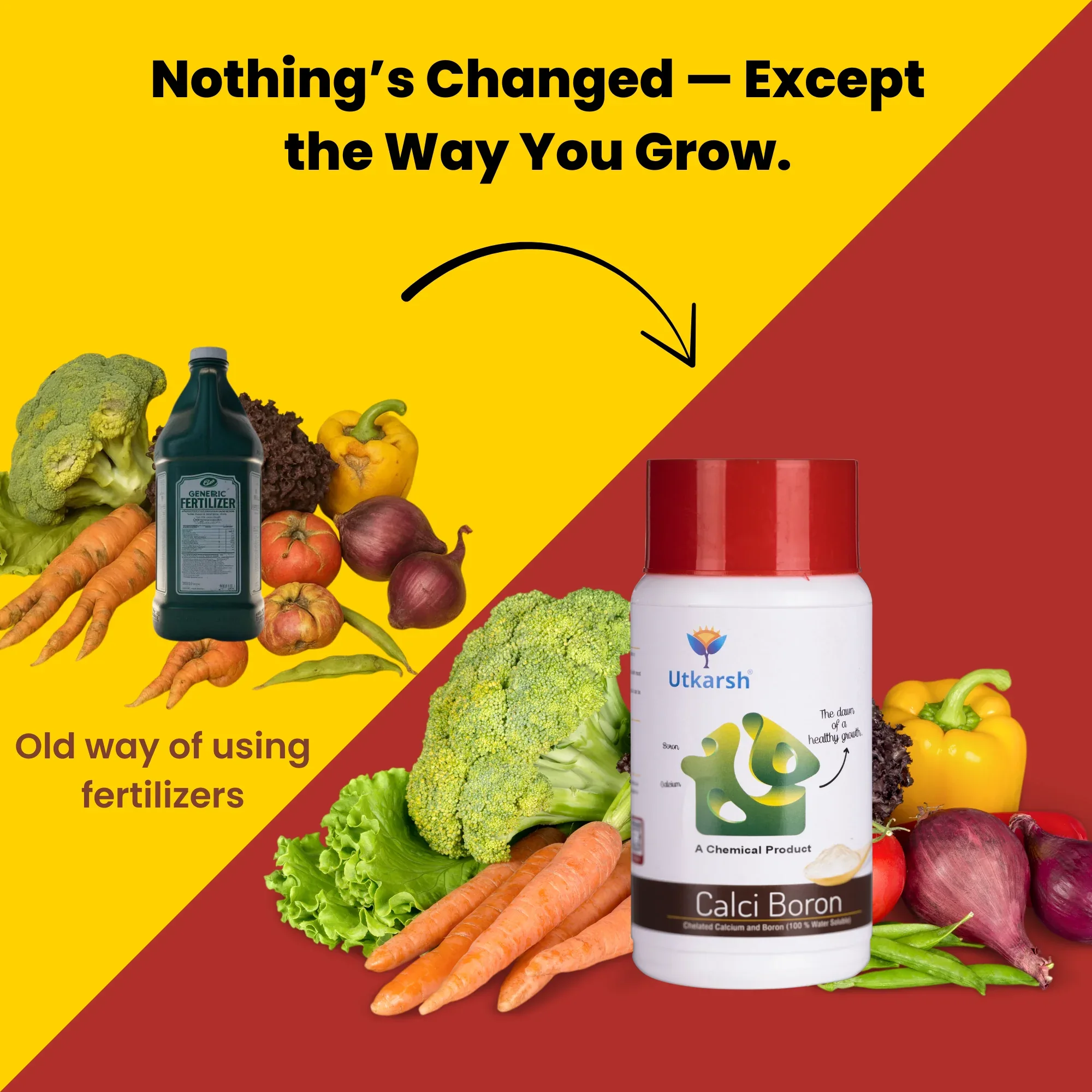 Calci Boron - Chelated Calcium & Boron Mix (100 % Water Soluble Chemical for Foliar Spray) - Image 4