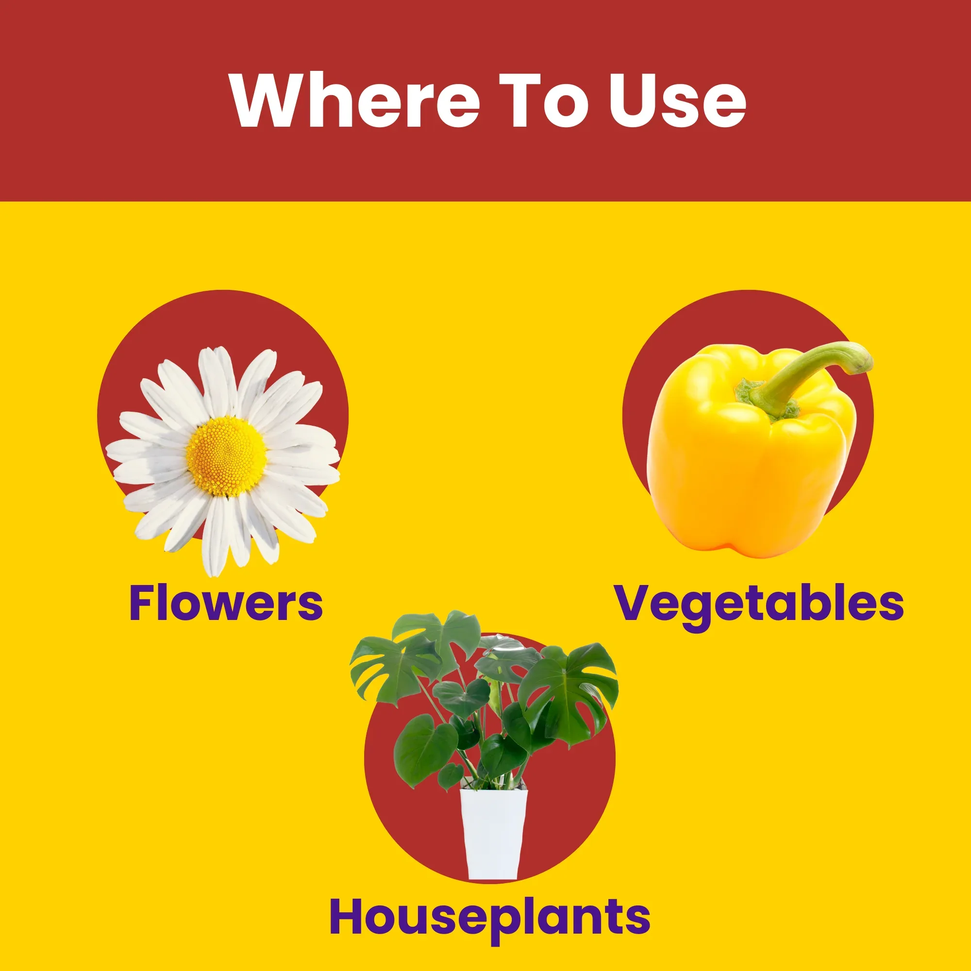 Calci Boron - Chelated Calcium & Boron Mix (100 % Water Soluble Chemical for Foliar Spray) - Image 5