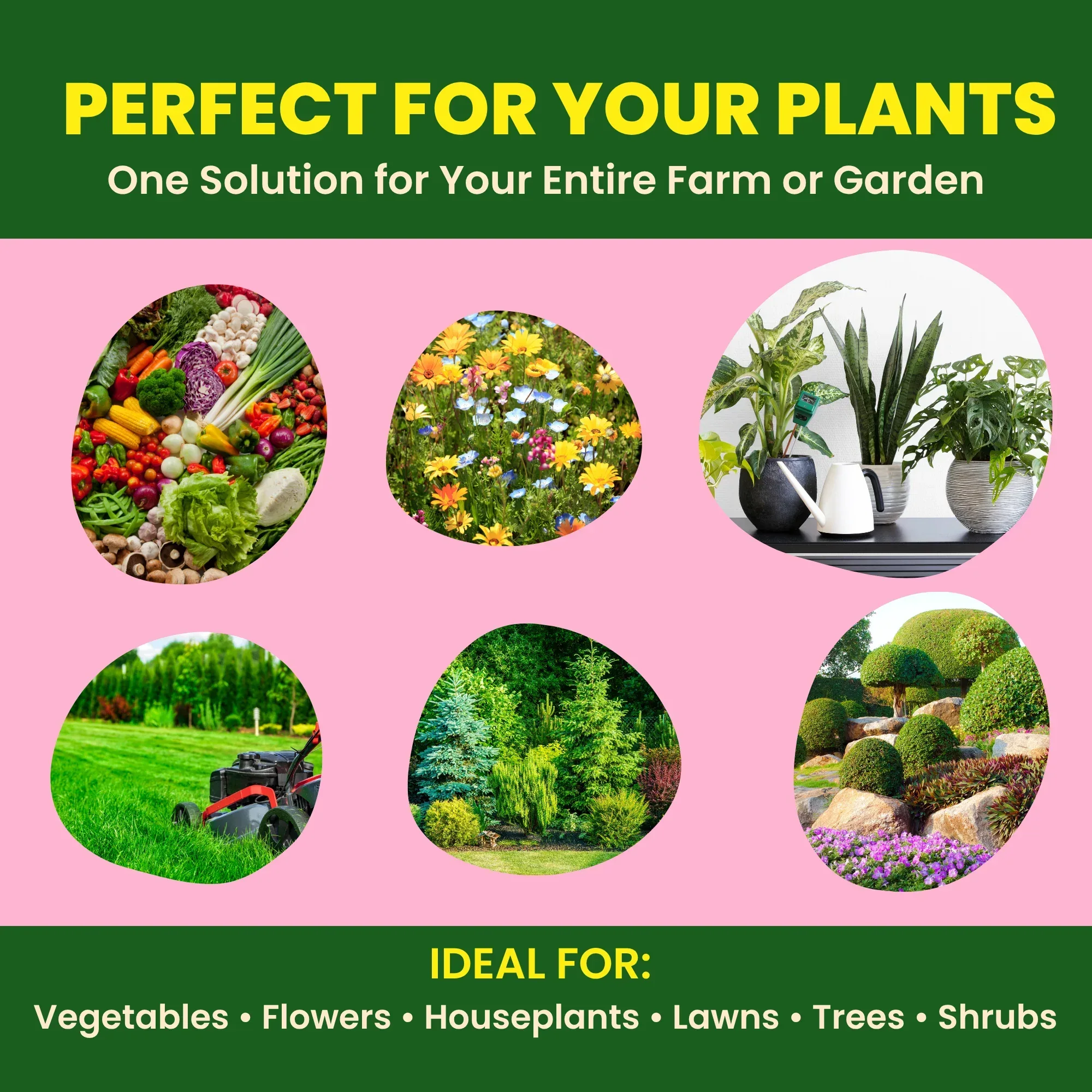 Calcium Nitrate Fertilizer for Plants Home Garden | 100% Water Soluble Foliar Spray Nutrition, Promotes & Boosts Healthy Flower and Fruit Growth - Image 3