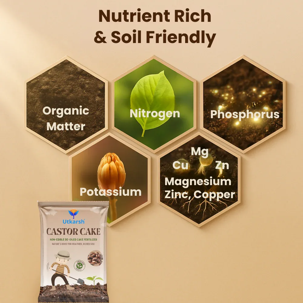 Castor Oil Cake Fertilizer for Plants | Organic Castor Khali Powder Compost for Home Garden, Manure for Flowers, Vegetables & Lawn - Image 3