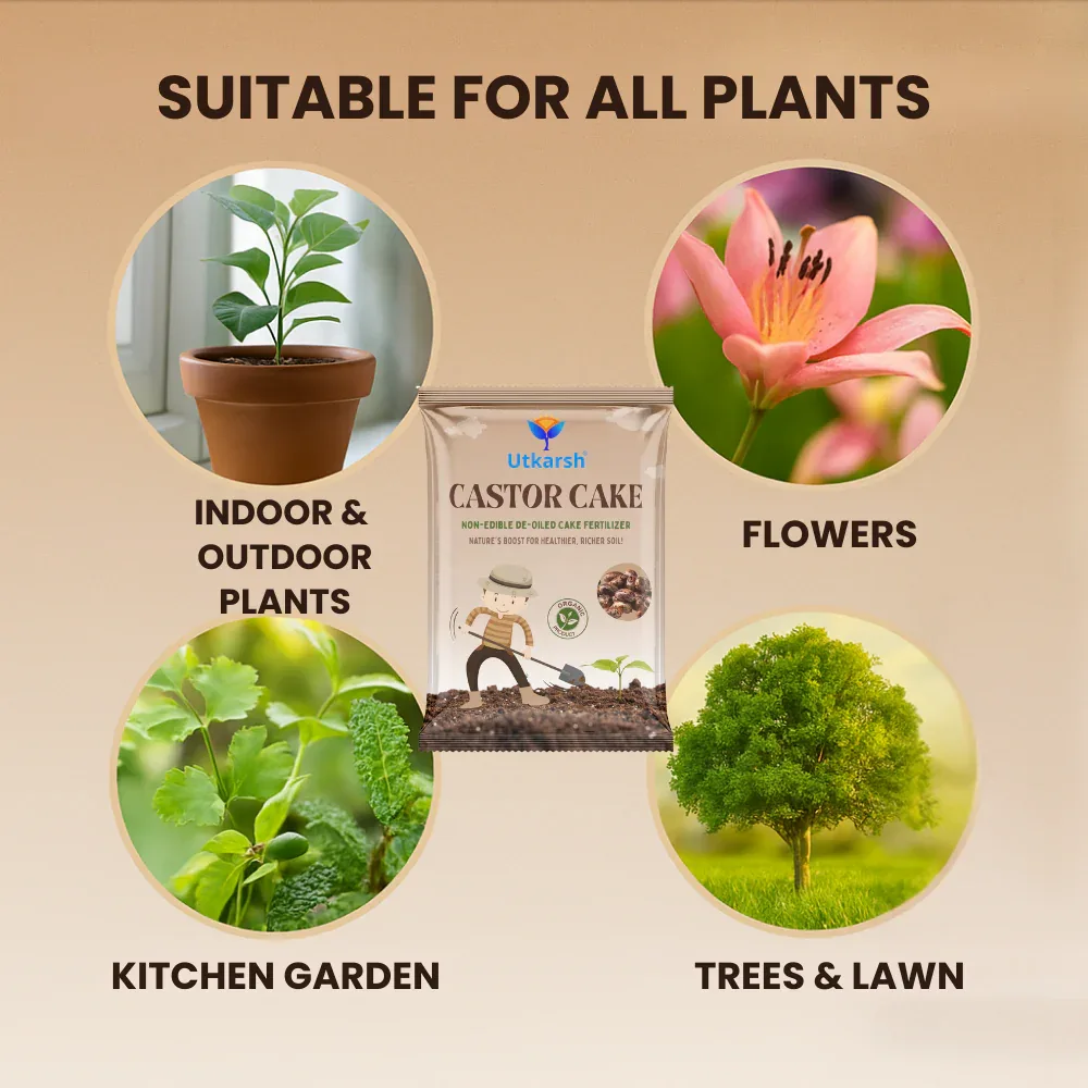 Castor Oil Cake Fertilizer for Plants | Organic Castor Khali Powder Compost for Home Garden, Manure for Flowers, Vegetables & Lawn - Image 4