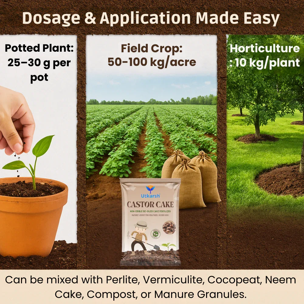 Castor Oil Cake Fertilizer for Plants | Organic Castor Khali Powder Compost for Home Garden, Manure for Flowers, Vegetables & Lawn - Image 5