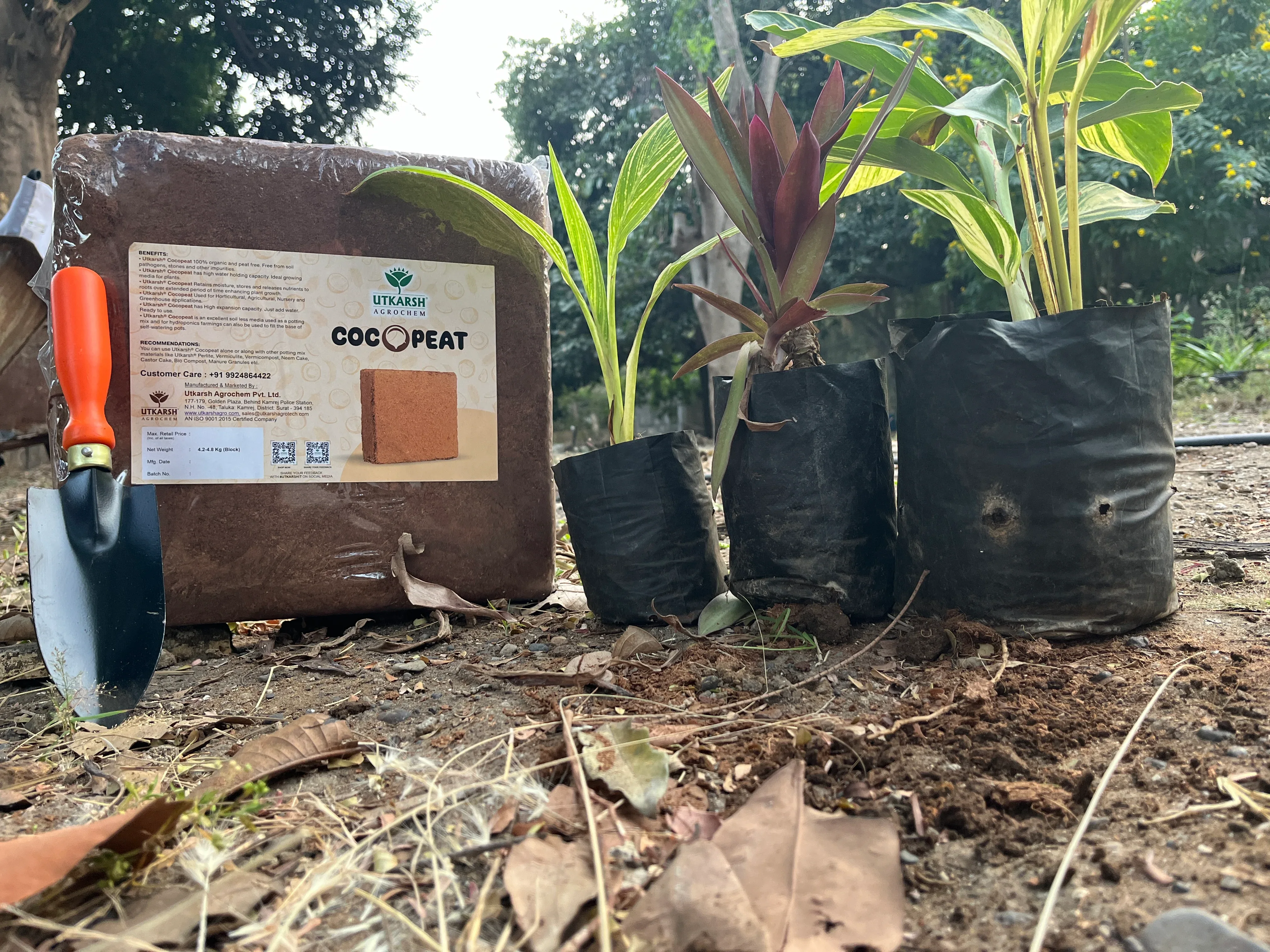 Cocopeat Block 4.4 Kg – Expands up to 75 litres of Cocopeat Powder for Growing Flowers, Vegetables & Herbs, Seedling, Hydroponic and Home Gardening - Image 4