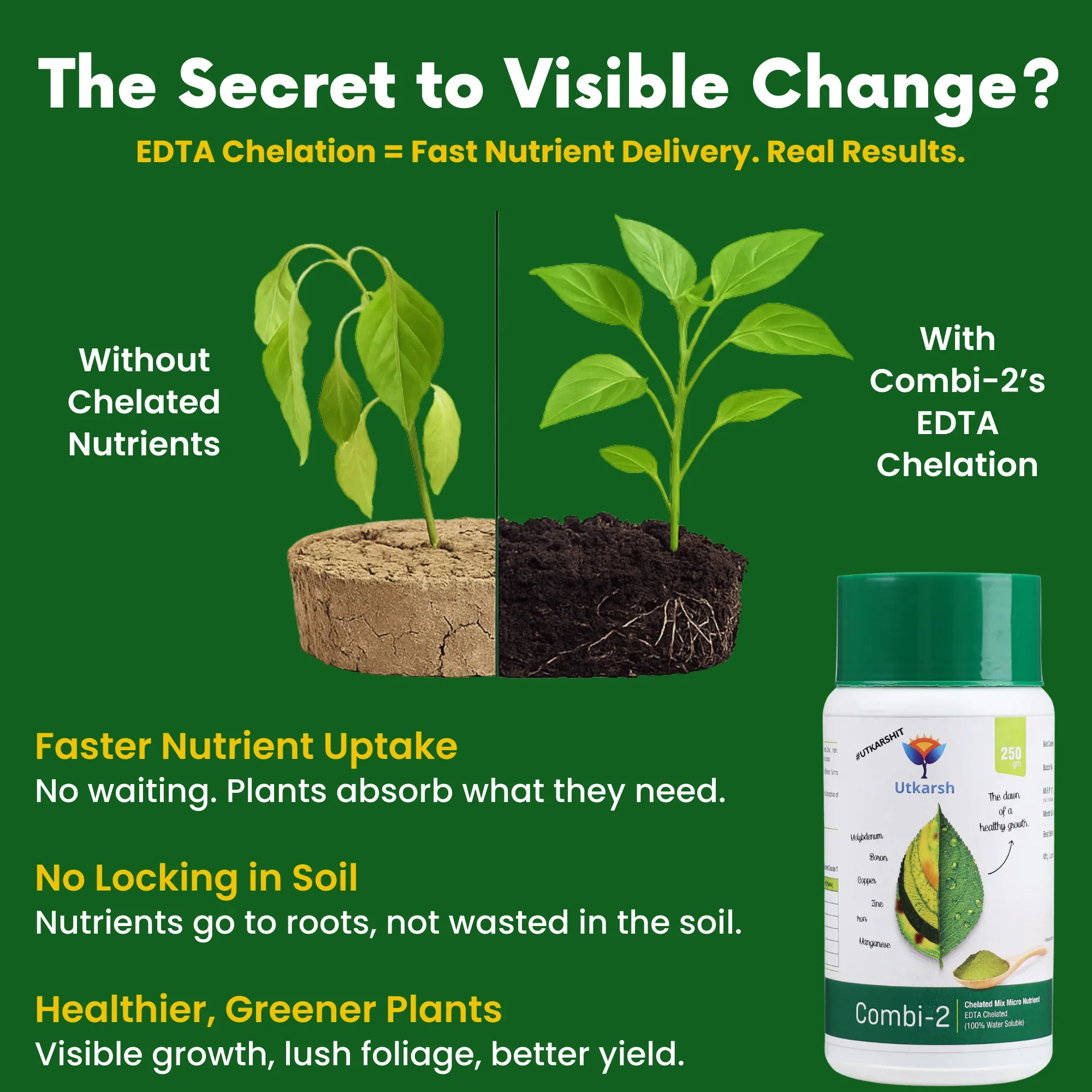 Combi - 2 (EDTA Chelated Fertilizers, Mix Micronutrient) Prevents Mix Crop Deficiencies, Keeps Plants/Home Garden Healthy, Improves Crop Yield & Quality - 25 Kg Pack - Image 3