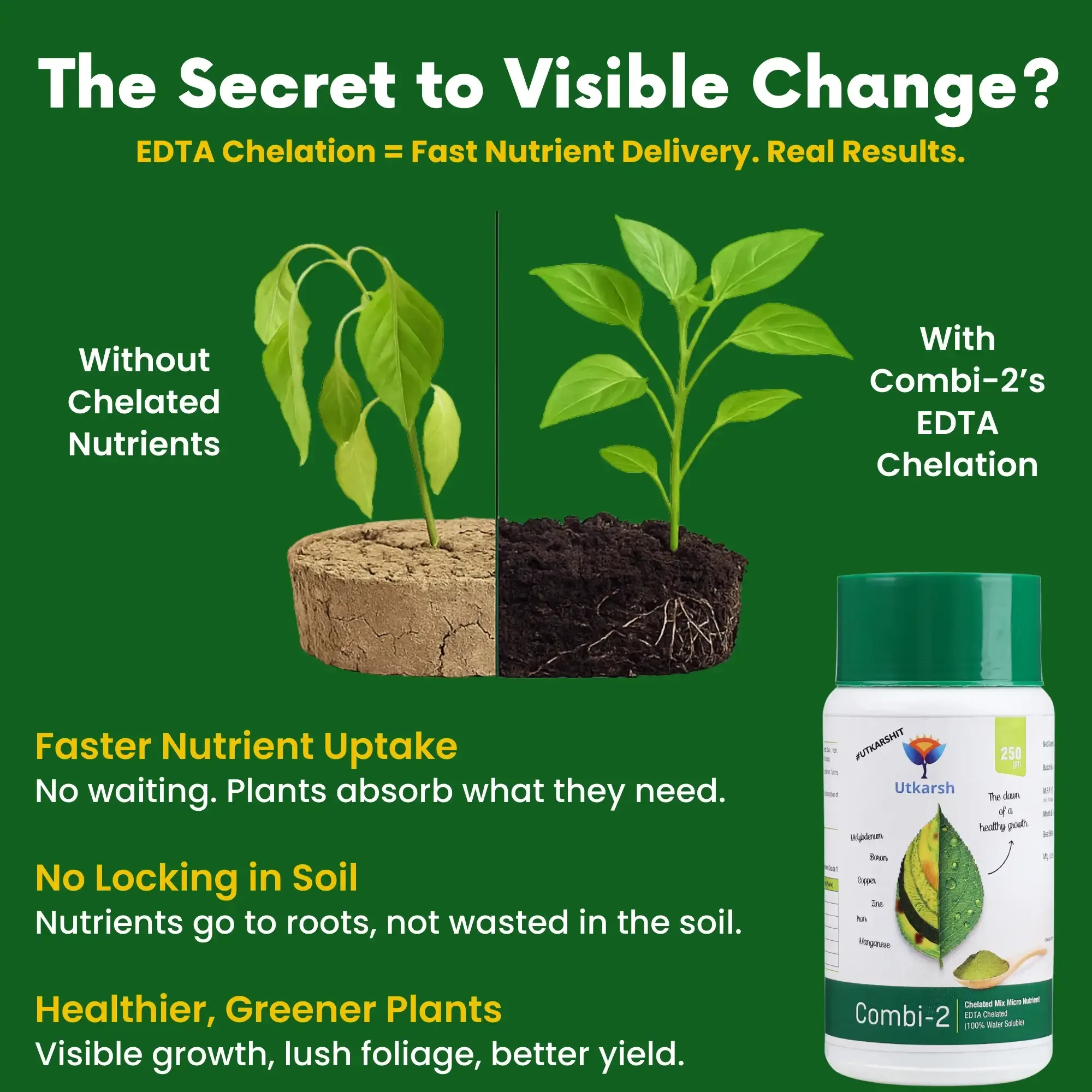 Combi - 2 (EDTA Chelated Fertilizers, Mix Micronutrient) Prevents Mix Crop Deficiencies, Keeps Plants/Home Garden Healthy, Improves Crop Yield & Quality - Image 3