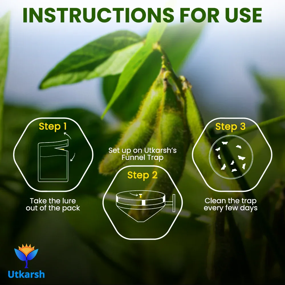 Cotton Bollworm Lure with Funnel Trap - Image 6