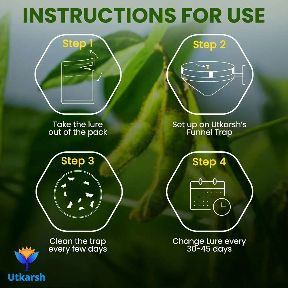 Cotton Bollworm Lure with Funnel Trap - Image 7