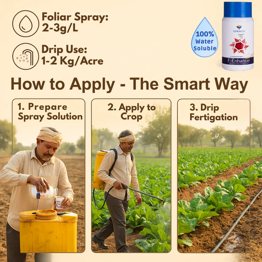 F-Enhancer - EDTA Chelated Mix - Calcium, Magnesium, Boron (100 % Water Soluble Chemical for Foliar Spray) - Image 4