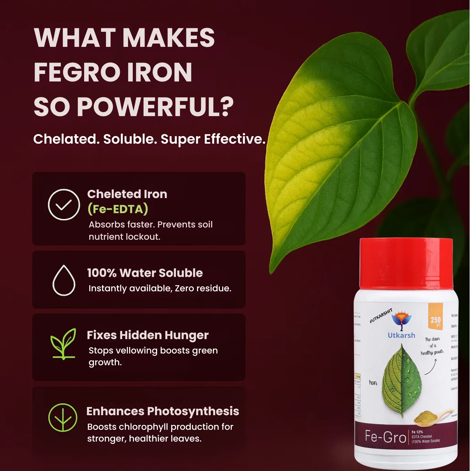 Iron - 12% EDTA Chelated for Plants, 100% Water Soluble Fertilizers, Micronutrients for Vegetables, Fruits, Flowers & Home Garden, Corrects Iron Deficiency | FeGro - Image 3