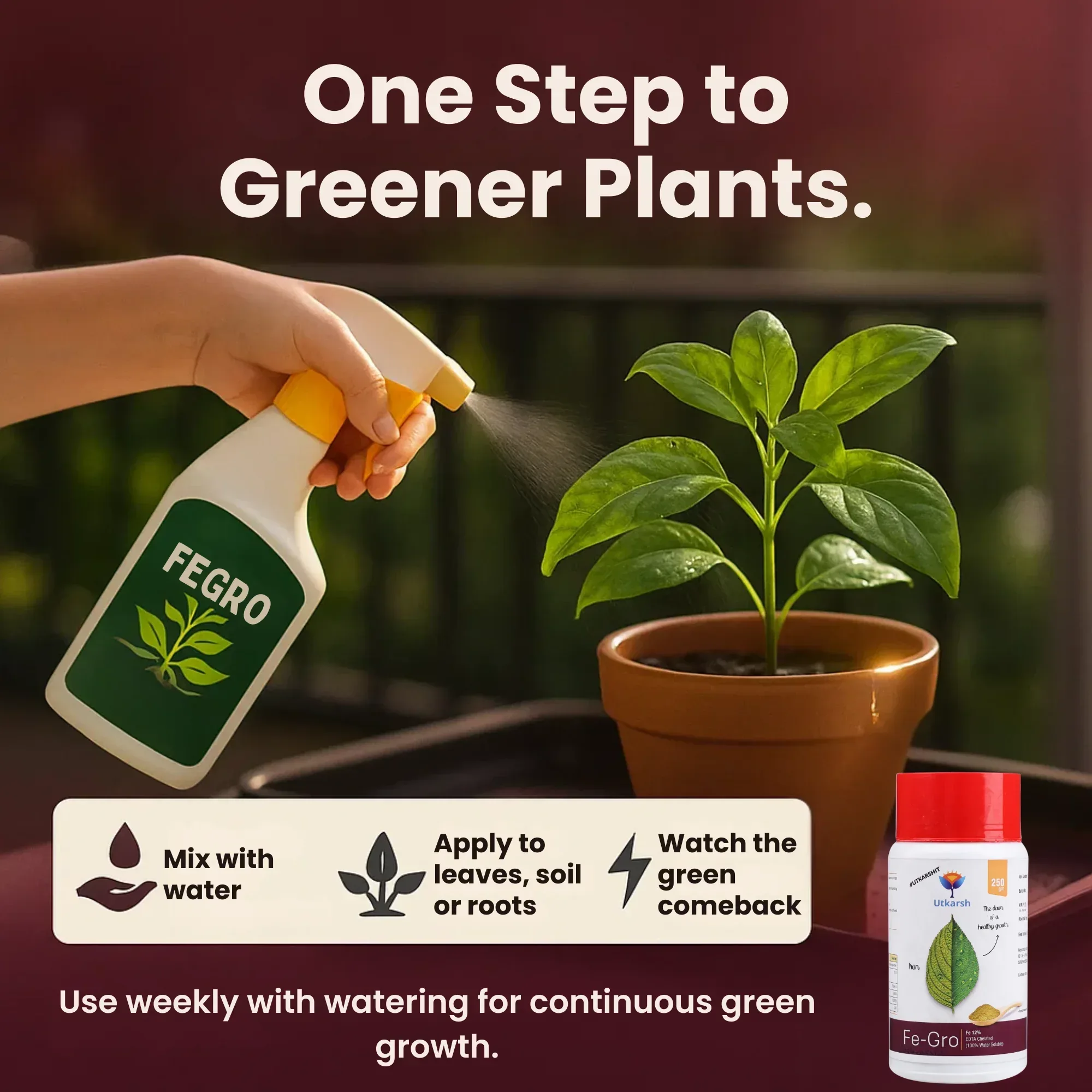 Iron - 12% EDTA Chelated for Plants, 100% Water Soluble Fertilizers, Micronutrients for Vegetables, Fruits, Flowers & Home Garden, Corrects Iron Deficiency | FeGro - Image 5