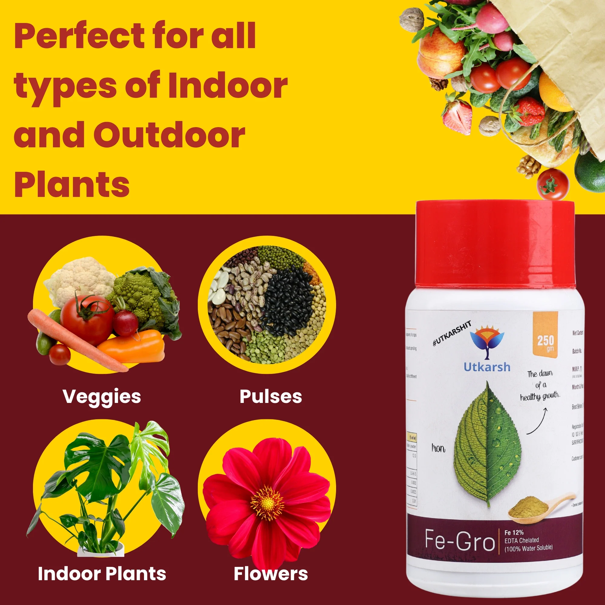 Iron - 12% EDTA Chelated for Plants, 100% Water Soluble Fertilizers, Micronutrients for Vegetables, Fruits, Flowers & Home Garden, Corrects Iron Deficiency | FeGro - Image 8