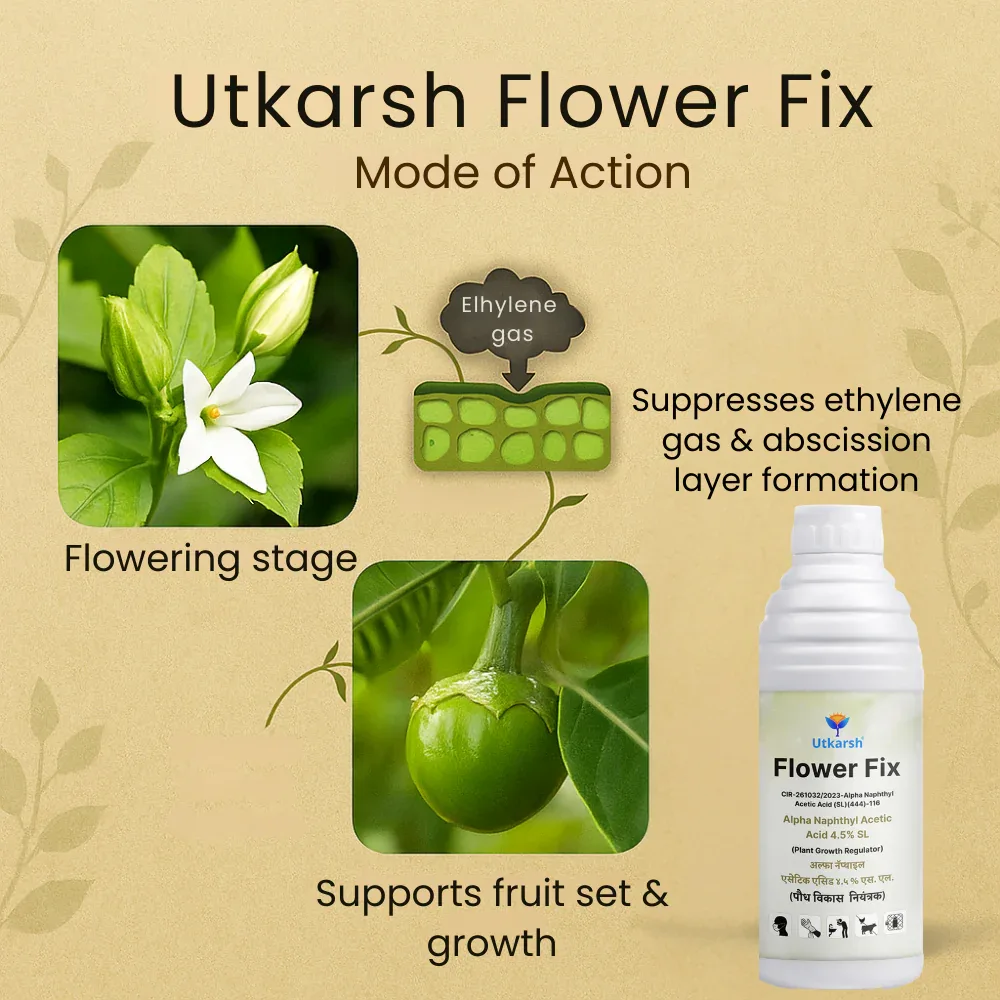 Flower Fix (Alpha Naphthyl Acetic Acid 4.5% SL) | Plant Growth Regulator - Image 3