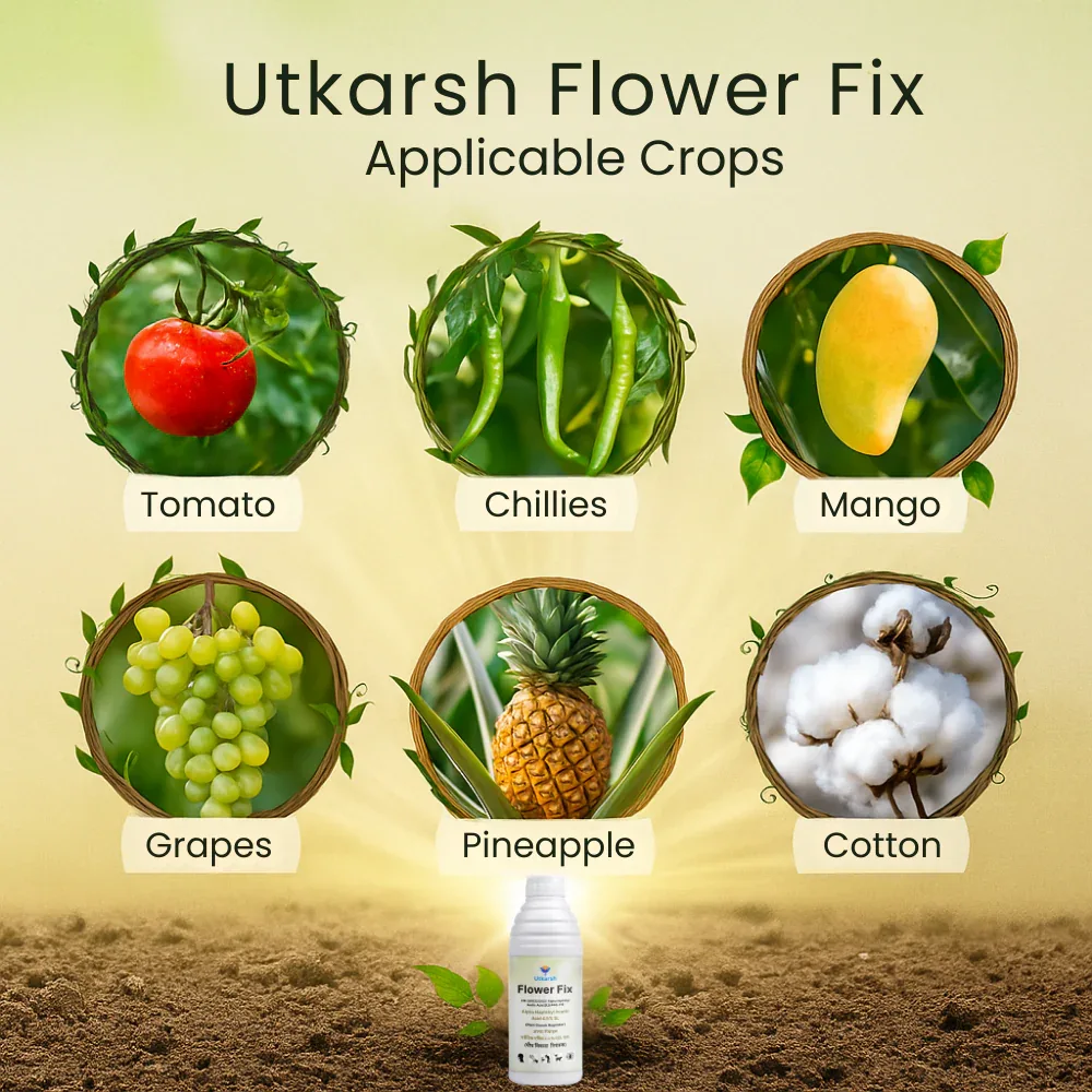 Flower Fix (Alpha Naphthyl Acetic Acid 4.5% SL) | Plant Growth Regulator - Image 4