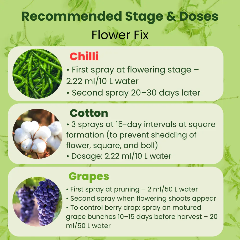 Flower Fix (Alpha Naphthyl Acetic Acid 4.5% SL) | Plant Growth Regulator - Image 6