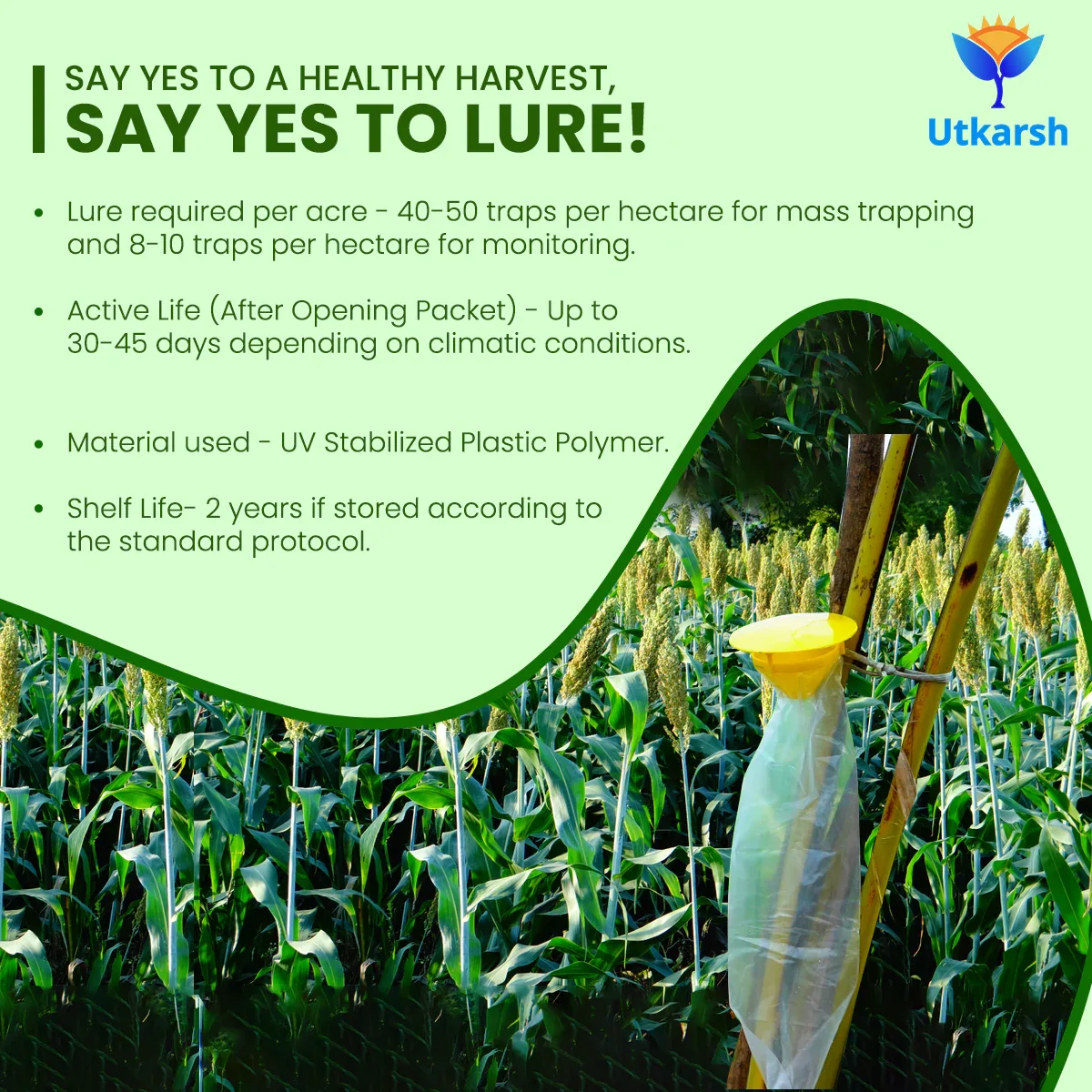 Funnel Trap - Image 4