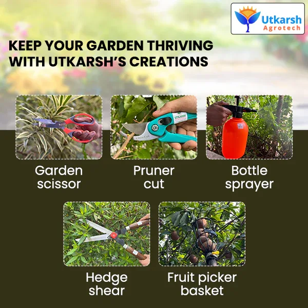 Pickaxe (Tiller) & Hand Hoes with Prongs- 3 Pc - Image 6