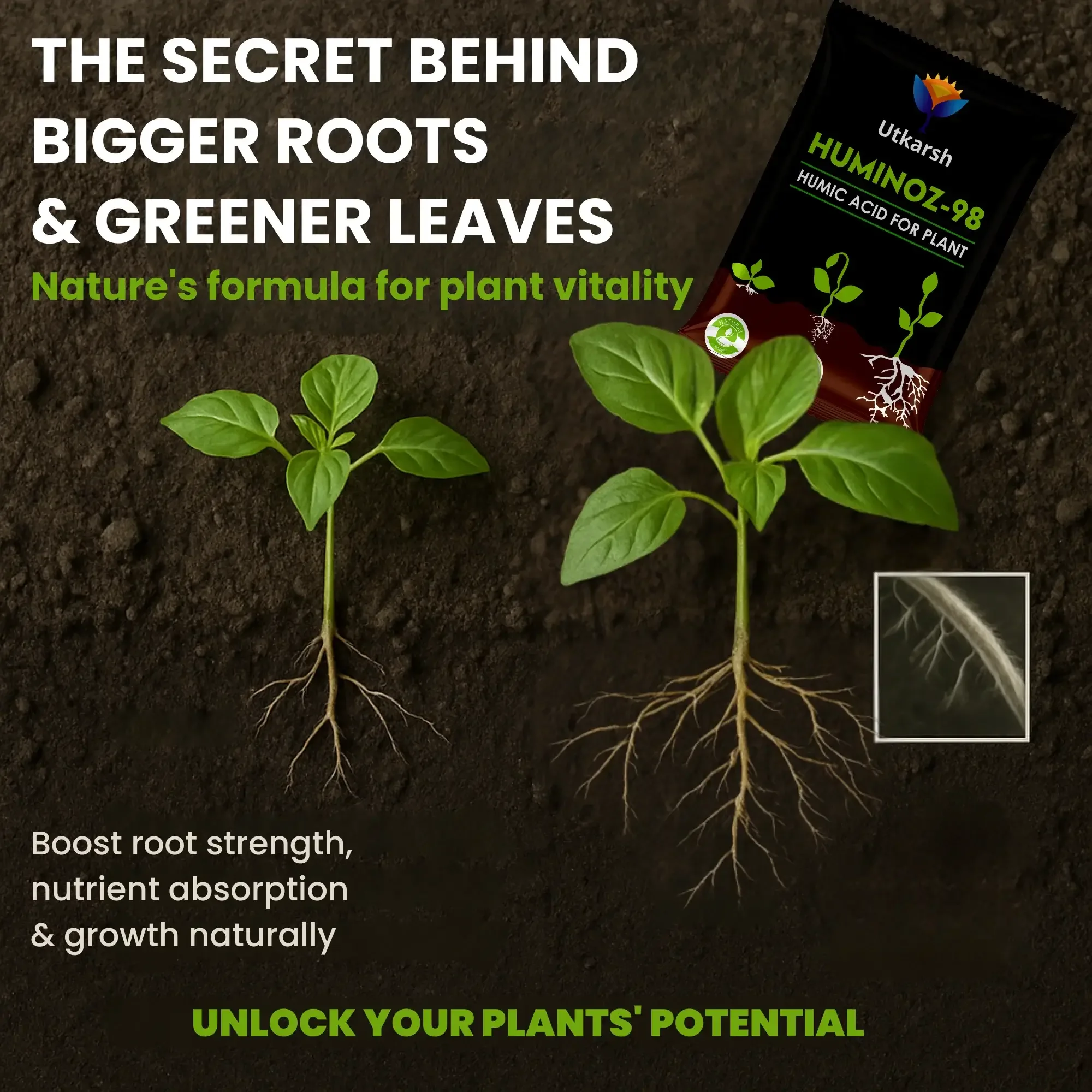 Utkarsh Huminoz-98 Humic Acid (98%) for Plants | Fertilizer for Potted Plants, Home Garden, Growth Enhancer, Soil Conditioner, Improves Root System - Image 3