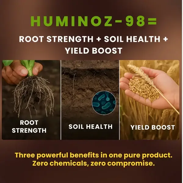 Utkarsh Huminoz-98 Humic Acid (98%) for Plants | Fertilizer for Potted Plants, Home Garden, Growth Enhancer, Soil Conditioner, Improves Root System - Image 6